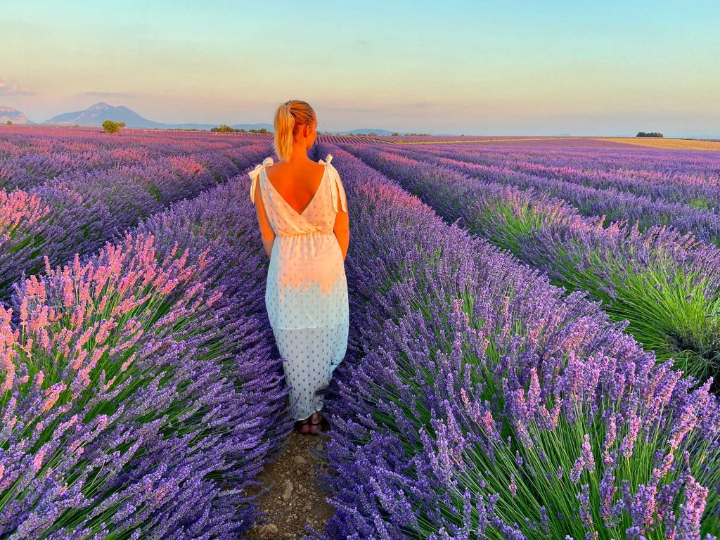 Femme marchant au cœur d’un champ de lavande en fleurs en Provence au coucher du soleil