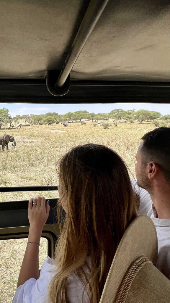 Couple observant des éléphants lors d’un safari en Tanzanie depuis un véhicule