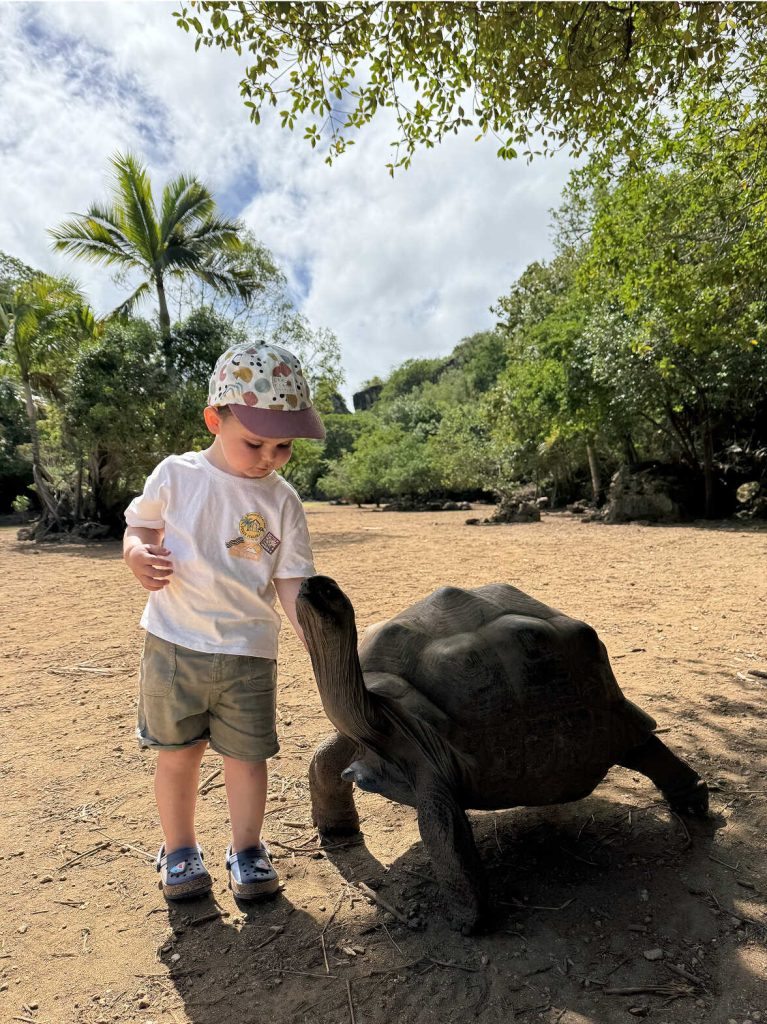 Enfant observant une tortue géante dans un environnement naturel tropical à l’île Maurice